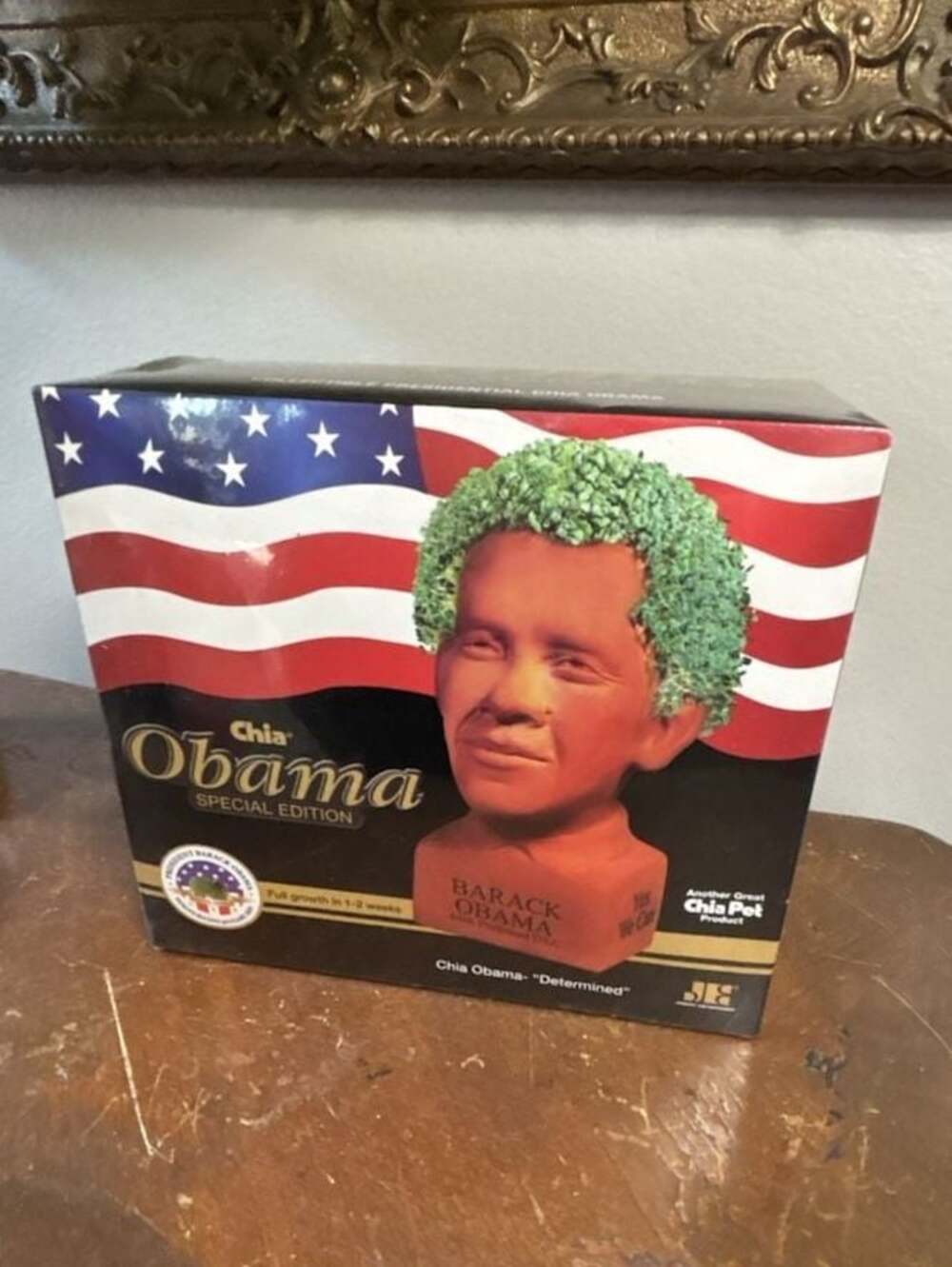 Chia Pet President Barack Obama Special Edition Determined Planter Kit